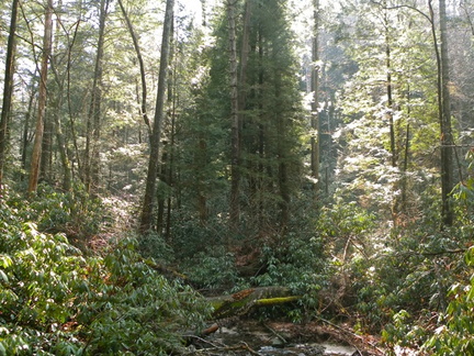 Parched Corn Creek - Rough Trail